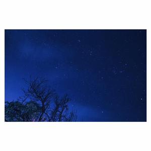 搡老熟女毛茸茸的玥户
