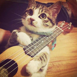 搡老熟女毛茸茸的玥户
